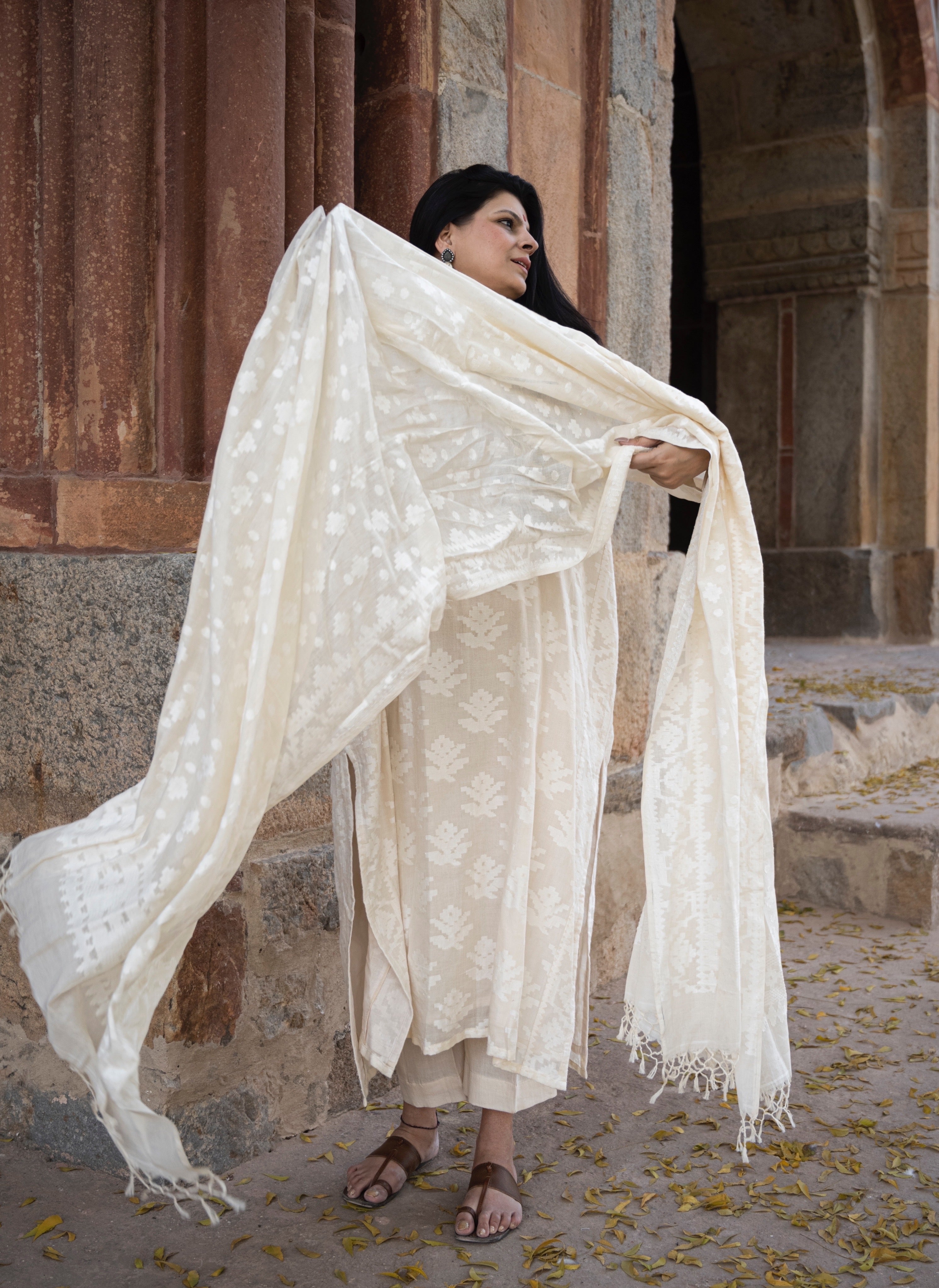 Dhakai Jamdanis Fabric
