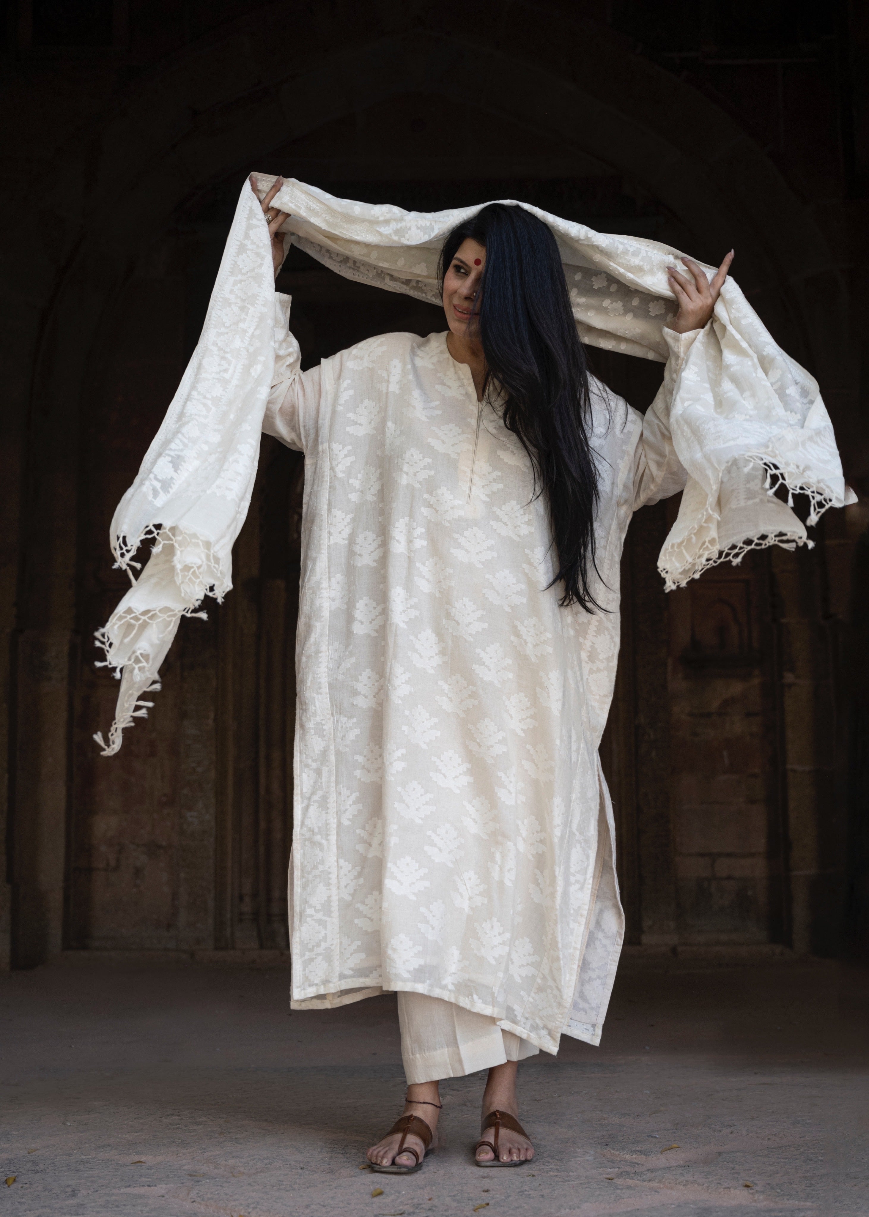 Dhakai Jamdanis Fabric