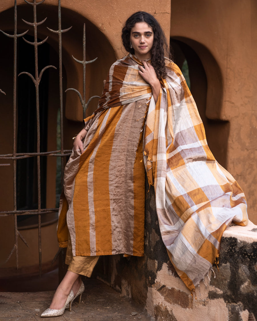 Noor-E-Lahore luxury Indian occasion wear for women | Radhas By Vandana