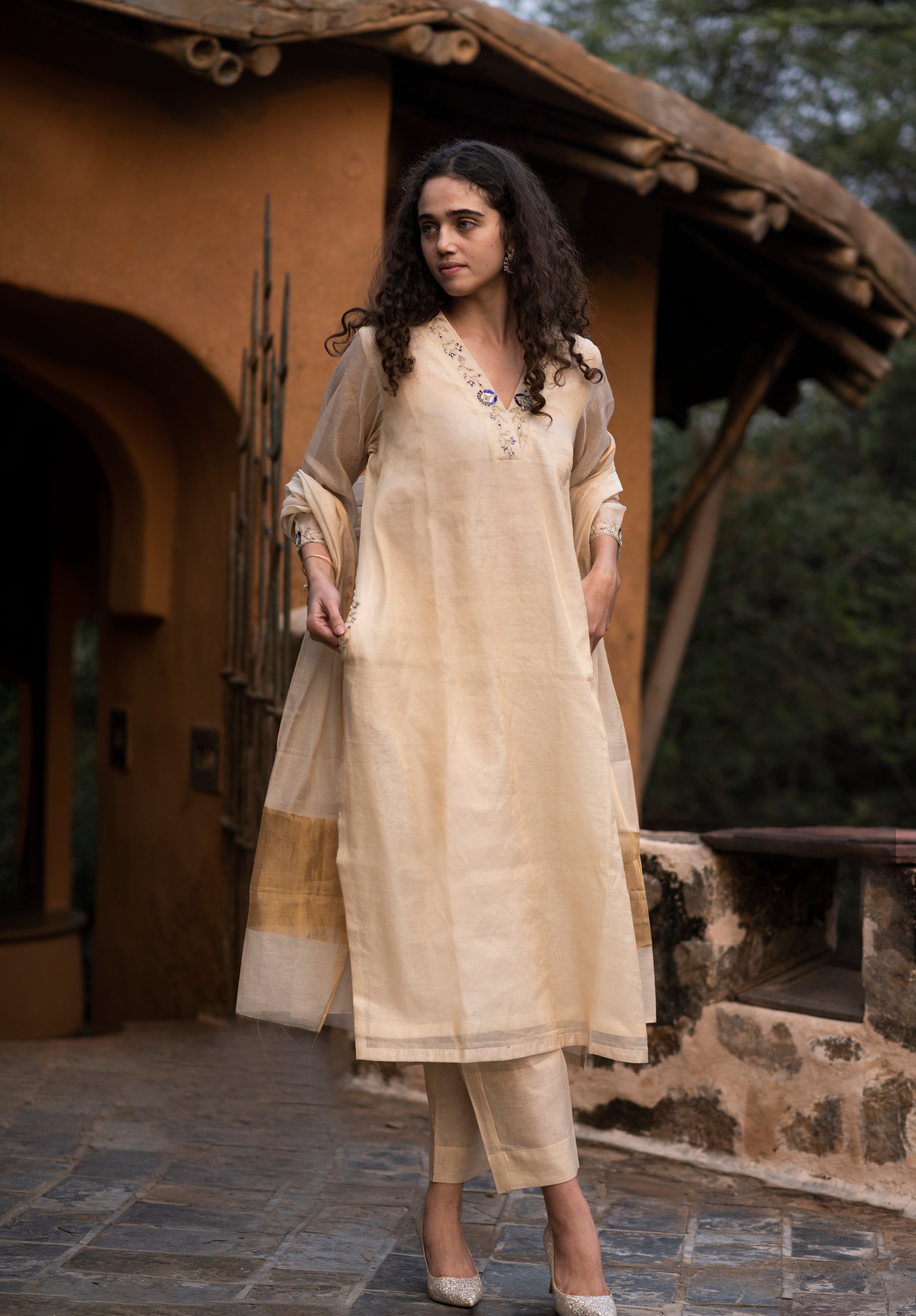 Pure Tissue Zari Silk with Hand Embroidery